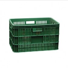 MODEL : 배추상자